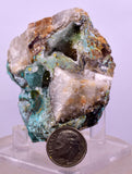 6.5cms DRUZY CHRYSOCOLLA QUARTZ CRYSTAL LILY MINE PERU 2000 YEAR DB308