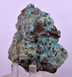 7.2cms DRUZY CHRYSOCOLLA QUARTZ CRYSTAL LILY MINE PERU 2000 YEAR DB309