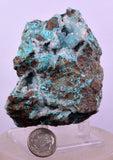 7.2cms DRUZY CHRYSOCOLLA QUARTZ CRYSTAL LILY MINE PERU 2000 YEAR DB309