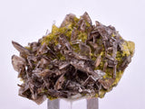 3.8cms AXINITE QUARTZ CRYSTALS Cluster Prehnite Peru Mineral Specimen Collectors AB267