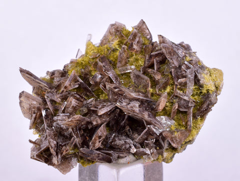 3.8cms AXINITE QUARTZ CRYSTALS Cluster Prehnite Peru Mineral Specimen Collectors AB267