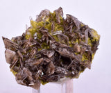 3.8cms AXINITE QUARTZ CRYSTALS Cluster Prehnite Peru Mineral Specimen Collectors AB267