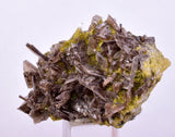 3.8cms AXINITE QUARTZ CRYSTALS Cluster Prehnite Peru Mineral Specimen Collectors AB267