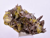 3.8cms AXINITE QUARTZ CRYSTALS Cluster Prehnite Peru Mineral Specimen Collectors AB267
