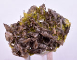 3.8cms AXINITE QUARTZ CRYSTALS Cluster Prehnite Peru Mineral Specimen Collectors AB267