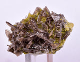 3.8cms AXINITE QUARTZ CRYSTALS Cluster Prehnite Peru Mineral Specimen Collectors AB267