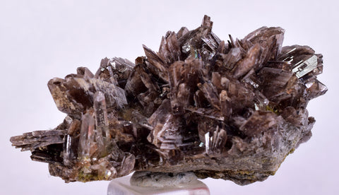 4.6cms AXINITE QUARTZ CRYSTALS Cluster Prehnite Peru Mineral Specimen Collectors AB268