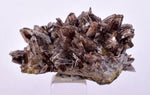 4.6cms AXINITE QUARTZ CRYSTALS Cluster Prehnite Peru Mineral Specimen Collectors AB268