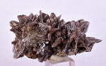4.6cms AXINITE QUARTZ CRYSTALS Cluster Prehnite Peru Mineral Specimen Collectors AB268