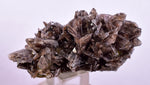 4.6cms AXINITE QUARTZ CRYSTALS Cluster Prehnite Peru Mineral Specimen Collectors AB268