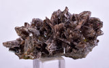 4.6cms AXINITE QUARTZ CRYSTALS Cluster Prehnite Peru Mineral Specimen Collectors AB268