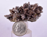4.6cms AXINITE QUARTZ CRYSTALS Cluster Prehnite Peru Mineral Specimen Collectors AB268