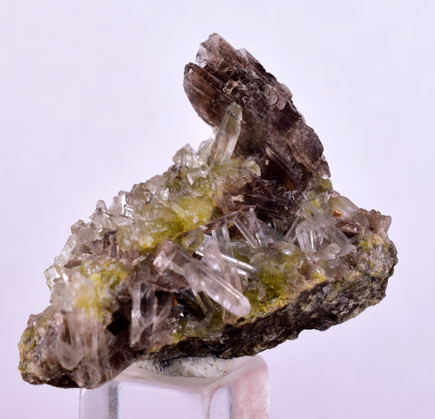 2.8cms AXINITE QUARTZ CRYSTALS Cluster Prehnite Peru Mineral Specimen Collectors AB269