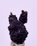 0.9cms NATIVE SILVER WIRE PERU UCHUCCHACUA MINE MINERAL SPECIMEN HB355