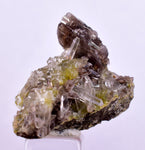 2.8cms AXINITE QUARTZ CRYSTALS Cluster Prehnite Peru Mineral Specimen Collectors AB269