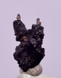 0.9cms NATIVE SILVER WIRE PERU UCHUCCHACUA MINE MINERAL SPECIMEN HB355