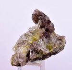 2.8cms AXINITE QUARTZ CRYSTALS Cluster Prehnite Peru Mineral Specimen Collectors AB269