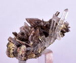 3.1cms AXINITE QUARTZ CRYSTALS Cluster Prehnite Peru Mineral Specimen Collectors AB270