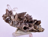 3.1cms AXINITE QUARTZ CRYSTALS Cluster Prehnite Peru Mineral Specimen Collectors AB270