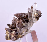 3.1cms AXINITE QUARTZ CRYSTALS Cluster Prehnite Peru Mineral Specimen Collectors AB270