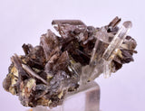 3.1cms AXINITE QUARTZ CRYSTALS Cluster Prehnite Peru Mineral Specimen Collectors AB270