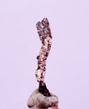 0.8cms NATIVE SILVER WIRE PERU UCHUCCHACUA MINE MINERAL SPECIMEN HB358