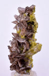 2.9cms AXINITE QUARTZ CRYSTALS Cluster Prehnite Peru Mineral Specimen Collectors AB271