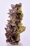 2.9cms AXINITE QUARTZ CRYSTALS Cluster Prehnite Peru Mineral Specimen Collectors AB271