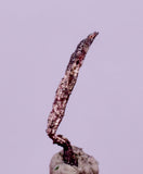 0.8cms NATIVE SILVER WIRE PERU UCHUCCHACUA MINE MINERAL SPECIMEN HB358