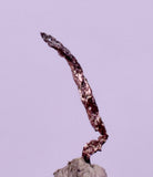 0.8cms NATIVE SILVER WIRE PERU UCHUCCHACUA MINE MINERAL SPECIMEN HB358