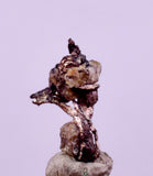 0.7cms NATIVE SILVER WIRE PERU UCHUCCHACUA MINE MINERAL SPECIMEN HB359