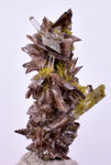 2.9cms AXINITE QUARTZ CRYSTALS Cluster Prehnite Peru Mineral Specimen Collectors AB271