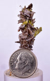 2.9cms AXINITE QUARTZ CRYSTALS Cluster Prehnite Peru Mineral Specimen Collectors AB271
