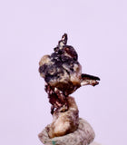 0.7cms NATIVE SILVER WIRE PERU UCHUCCHACUA MINE MINERAL SPECIMEN HB359