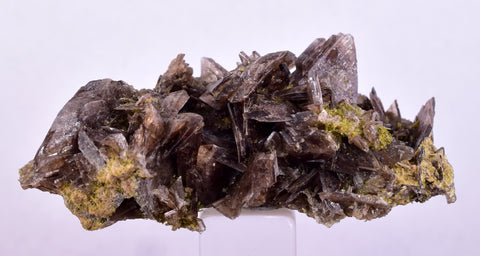 5.2cms AXINITE QUARTZ CRYSTALS Cluster Prehnite Peru Mineral Specimen Collectors AB272