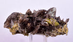 5.2cms AXINITE QUARTZ CRYSTALS Cluster Prehnite Peru Mineral Specimen Collectors AB272