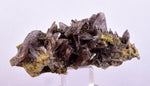 5.2cms AXINITE QUARTZ CRYSTALS Cluster Prehnite Peru Mineral Specimen Collectors AB272
