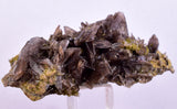 5.2cms AXINITE QUARTZ CRYSTALS Cluster Prehnite Peru Mineral Specimen Collectors AB272
