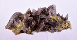 5.2cms AXINITE QUARTZ CRYSTALS Cluster Prehnite Peru Mineral Specimen Collectors AB272