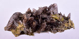 5.2cms AXINITE QUARTZ CRYSTALS Cluster Prehnite Peru Mineral Specimen Collectors AB272
