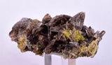 5.2cms AXINITE QUARTZ CRYSTALS Cluster Prehnite Peru Mineral Specimen Collectors AB272