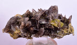 5.2cms AXINITE QUARTZ CRYSTALS Cluster Prehnite Peru Mineral Specimen Collectors AB272
