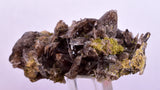 5.2cms AXINITE QUARTZ CRYSTALS Cluster Prehnite Peru Mineral Specimen Collectors AB272