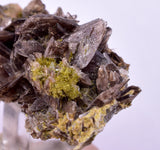 5.2cms AXINITE QUARTZ CRYSTALS Cluster Prehnite Peru Mineral Specimen Collectors AB272