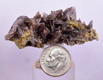 5.2cms AXINITE QUARTZ CRYSTALS Cluster Prehnite Peru Mineral Specimen Collectors AB272