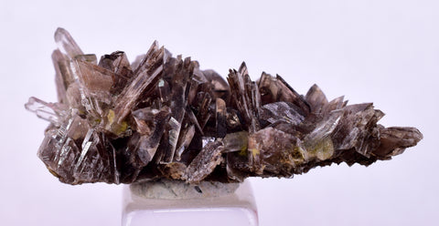 3.5cms AXINITE QUARTZ CRYSTALS Cluster Prehnite Peru Mineral Specimen Collectors AB273