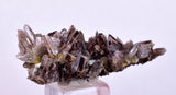3.5cms AXINITE QUARTZ CRYSTALS Cluster Prehnite Peru Mineral Specimen Collectors AB273