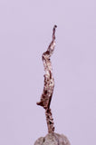 1.1cms NATIVE SILVER WIRE PERU UCHUCCHACUA MINE MINERAL SPECIMEN HB362