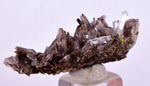 3.5cms AXINITE QUARTZ CRYSTALS Cluster Prehnite Peru Mineral Specimen Collectors AB273