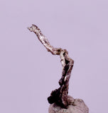 0.9cms NATIVE SILVER WIRE PERU UCHUCCHACUA MINE MINERAL SPECIMEN HB363